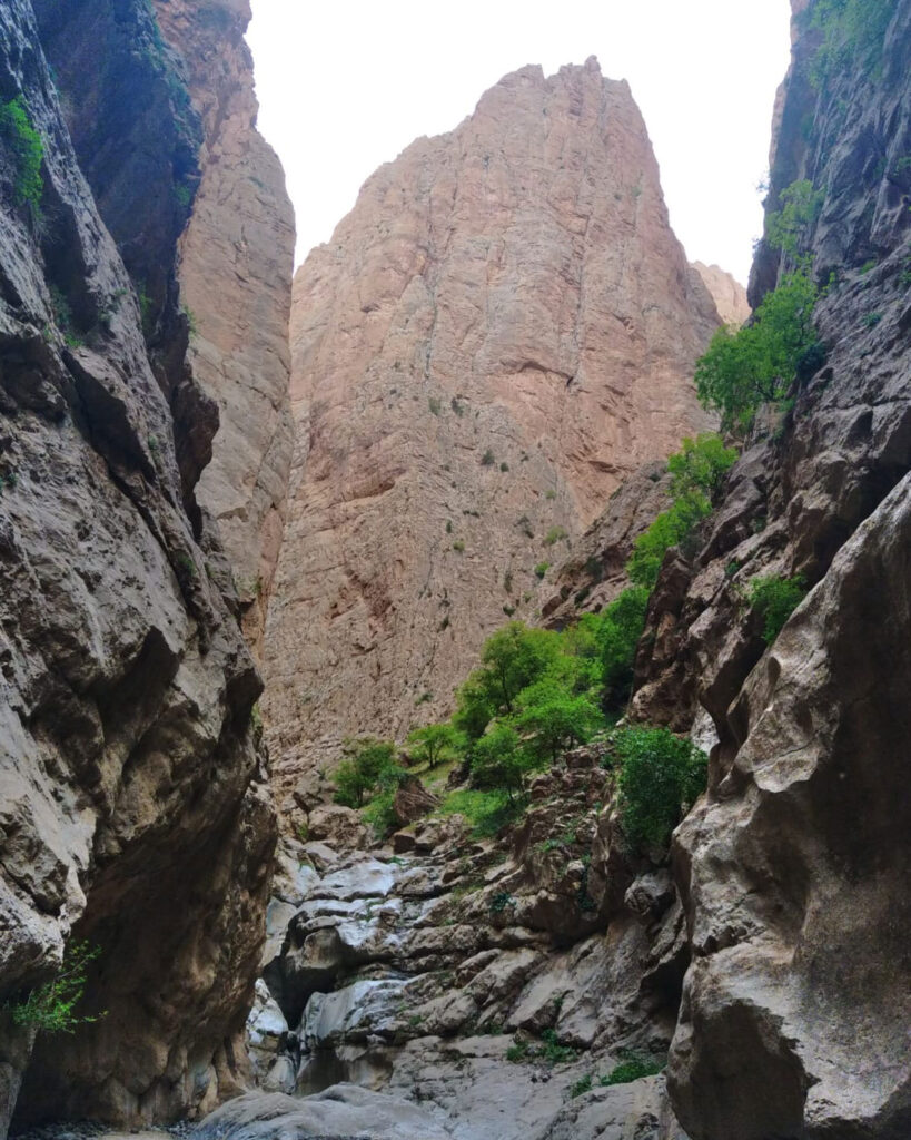 Taghia Zaouit Ahansal تاغية زاوية أحنصال